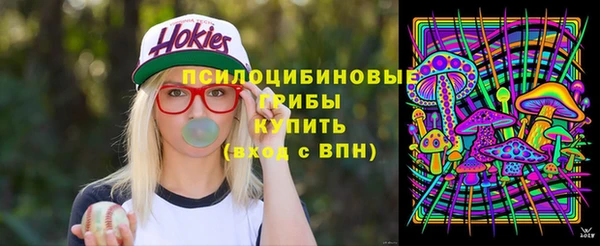 Альфа ПВП Пестово