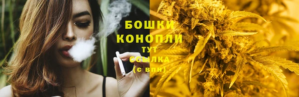 Альфа ПВП Пестово