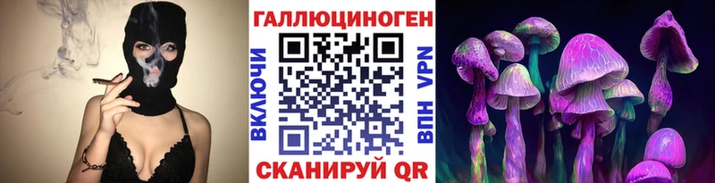 купить  сайты  Кодинск  Галлюциногенные грибы Psilocybine cubensis 